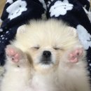 베럴 댄(BETTER THAN) 이미지
