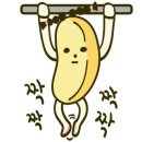 나이스프레스 이미지