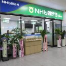 사파동289 이미지