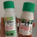 푸른종묘농약사 이미지