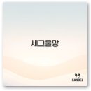 대규농장 | 새그물망 설치방법 가격 불법 여부 조류방지망 깔끔 정리