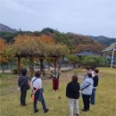 깊은 치유 | 주 마곡사에서 보낸 깊은 쉼🌙 시나브로 치유길 체류형 프로그램 후기