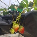 점암농장 이미지