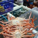 진아수산 | (맛집) 영덕 대게 싸게 사는 방법 - 진아수산 (내돈내산)
