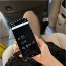 프리지아A 이미지