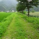녹색마을길 이미지