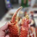대게어때 | 대구 매천시장 대게 시세 | 러시아 대게 포장 후기(이번엔 실망)