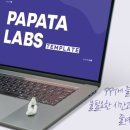 파파타랩스 네이버블로그