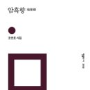 조연호 시집 『암흑향』 이미지