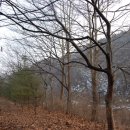 대지 행정사사무소 이미지