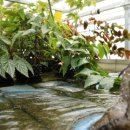 김영철농장 이미지