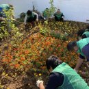 동삼3동-6 이미지