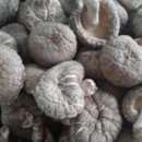 [ 원목 ] 표고버섯 가정용. 소형 판매합니다. 이미지