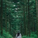 강원도흑염소 이미지