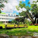 곡성-272 이미지