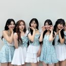 위클리 카카오 검색결과