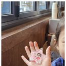 보배반점다산역점