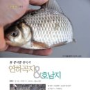 연하곡지 이미지