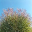 오일시장(축협하나로마트) 이미지