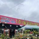 들꽃피는화원 이미지