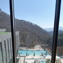 포레스트리솜 | 충북 | 제천 포레스트 리솜 스파 후기(해브나인 힐링 스파 완벽 정리)