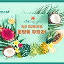 쥬청과 이미지