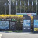 봉수골경로당 이미지