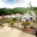 디자인팜스 이미지