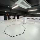 ONLY ONE 레슬링 이미지