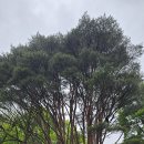 현동마을회관 이미지