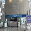 172 | 일본 오키나와여행 아시아나 OZ172 A321NEO 탑승 후기 기내식