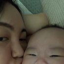 승희범퍼 이미지