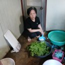 논공현대주유소 이미지