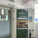 컴포즈커피 신월사거리점 | 목동 공유오피스 드림캐쳐스 양천신월점, 카페 같은 업무 공간 후기