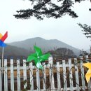 미원초교 금관분교 이미지