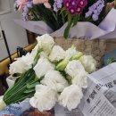 남대문 꽃 도매시장 후기 (웨딩촬영 부케/ 본식부케 )