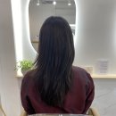 새롭게 리모델링! 성복동 미용실 “넬라헤어”에서 클리닉+컷 받은 후기