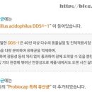 비앤에이(주) 이미지