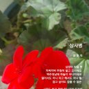 상사병 이미지