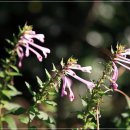 미카엘민박 이미지