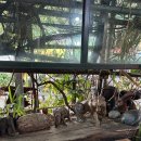 보성김밥 | 남천동 해변시장 서울김밥 충무김밥·쫄면 솔직후기 + 보성녹차 팥빙수