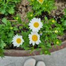 남양하나이비인후과의원 이미지