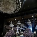 로얄투어 | W2-3. 로얄파크컨벤션 / 보테가마지오 투어 후기 (최종 베뉴 결정✨️)