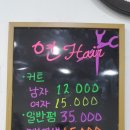 연 Hair