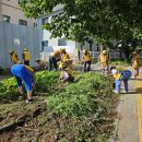 7월 무더위도 잊은 어르신 자원봉사활동 이야기! 이미지