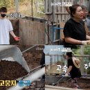 진화목장 이미지