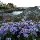 지천소공원 이미지