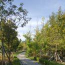 해피데이 이미지