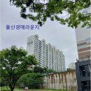 대동한마음타운 이미지