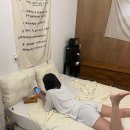 도진리95 이미지